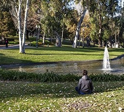 Boy sitting in a park looking at a lake 